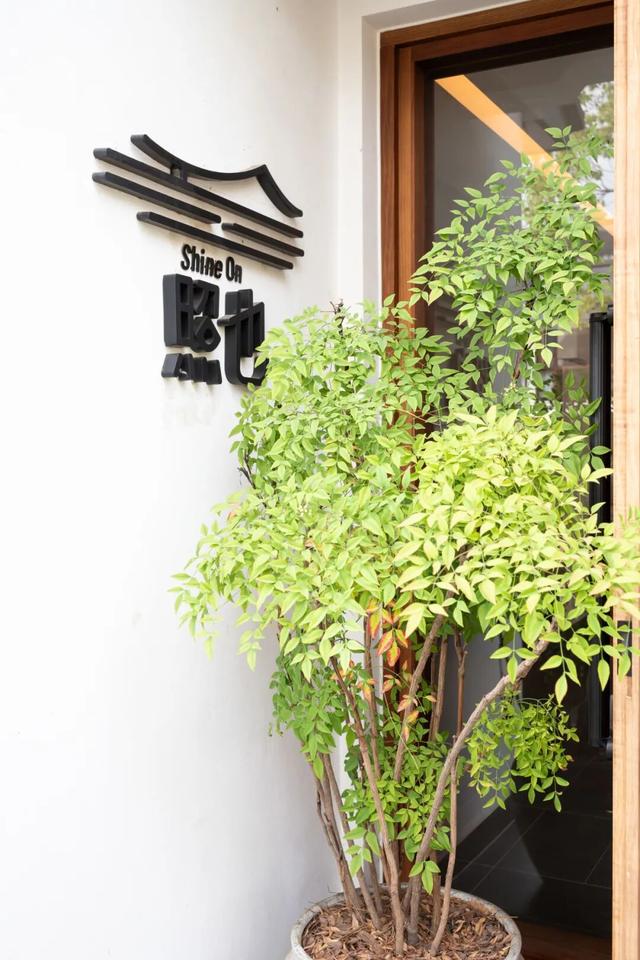 初冬周Walk丨暖洋洋，慢慢游