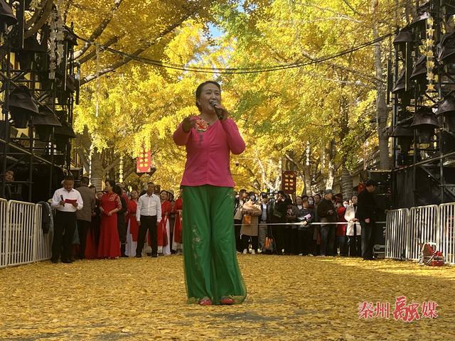 “银”客天下 “杏”福秦州 “黄金大道”：文艺盛宴燃情开演 农特好物C位出圈