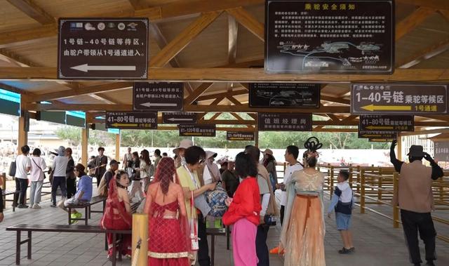敦煌鸣沙山月牙泉景区驼运绘就“一带一路”旅游新画卷