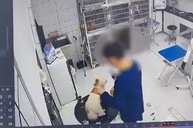 江苏淮安一宠物医院暴力摔打宠物狗，院方致歉：涉事员工已被开除图片