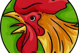 不适合与属鸡的过日子的5个属相，矛盾多，在一起争吵不停图片