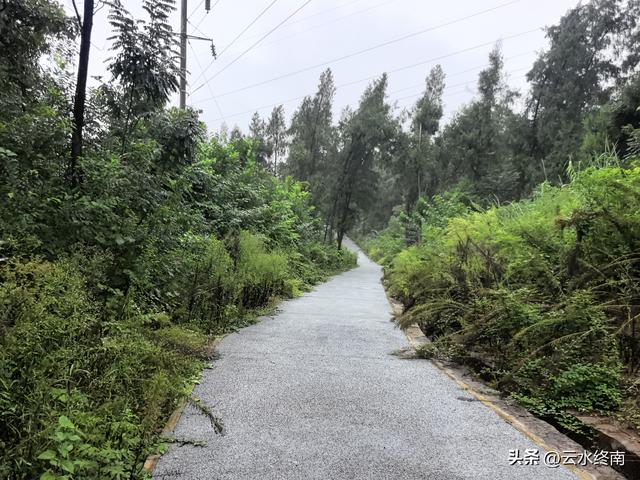 他在全国的5个墓，现在去过两个：“推敲”下安岳荒郊野外的这个