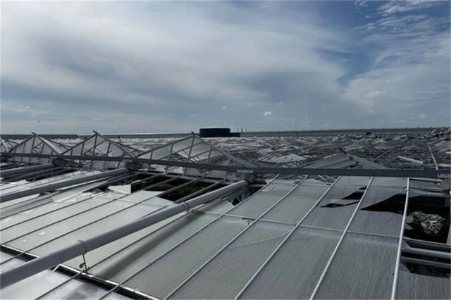 俄罗斯关闭荷兰植物繁殖材料进口通道 荷兰9公顷温室整体倒塌引起行业高度关注 | 每周国际花讯