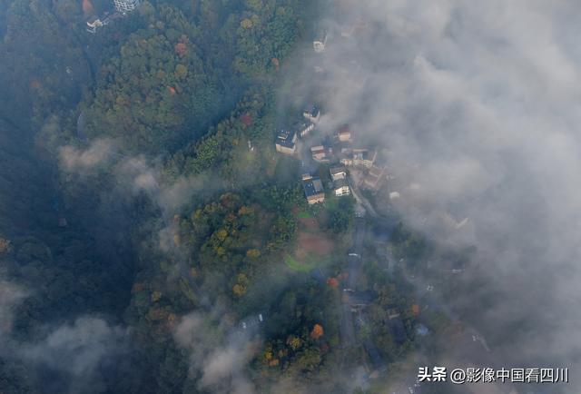 四川雅安：碧峰峡风光旖旎引客来