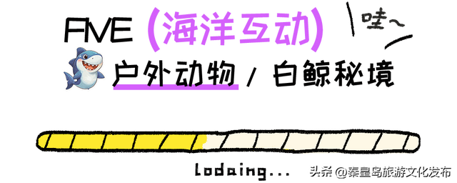 国庆小长假，秦皇岛乐岛海洋王国游玩指南出炉！