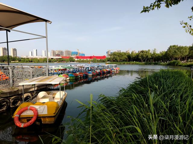 西安东郊最大的公园蔷薇花还很美,露营的游客多,小桥流水游乐场