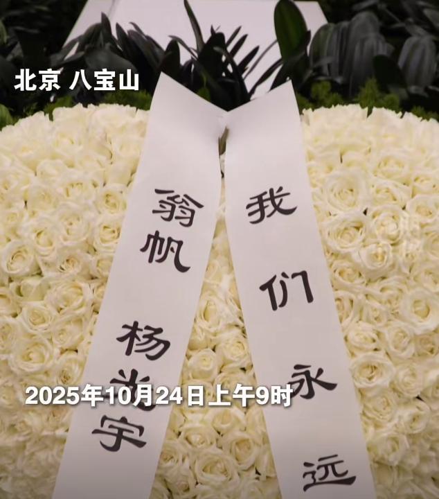 杨振汉赴八宝山送别杨振宁！露面回忆往事，透露了哥哥的一个遗憾