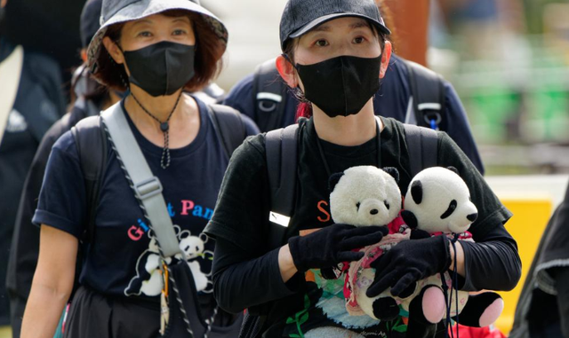 最后两只熊猫打包回国，高市早苗一句狂言，换300亿日元天价账单