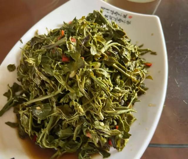 许昌周末漫游 | 禹州篇：别卷了，来这里撒欢！一站式攻略速藏！