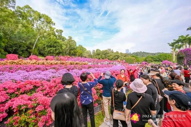 这周五，莲花山要热闹起来了！！