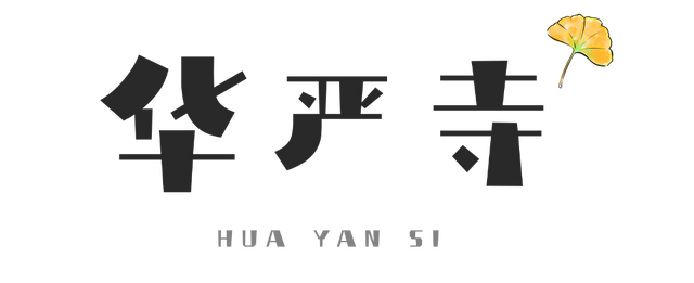 含“金”量100%！是时候来仁寿，邂逅一抹银杏黄啦~