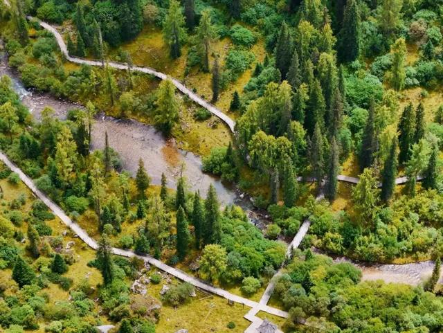 夏末初秋｜达古之绿是四季写给山河的散文诗