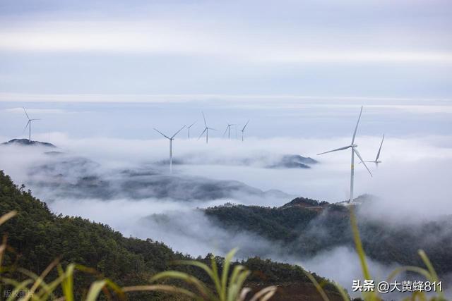 认识大美广东的每个县——第四波：新丰（岭南绿肺）