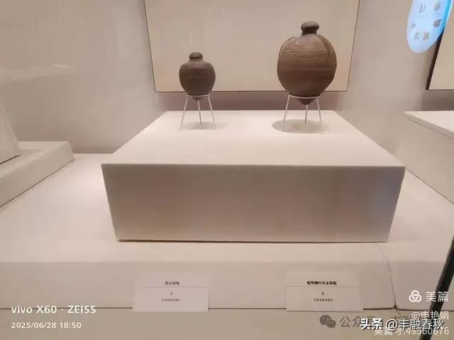 探秘丝路明珠,邂逅巴楚千年文明——走进新疆巴楚博物馆|申艳娟