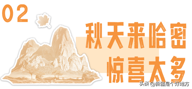 “东大门”，有东西！