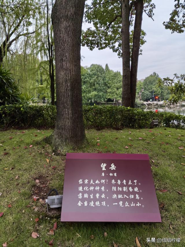 桂香袭来，在秀湖公园闻花香，读一读杜甫的诗，在亲水步道走一走