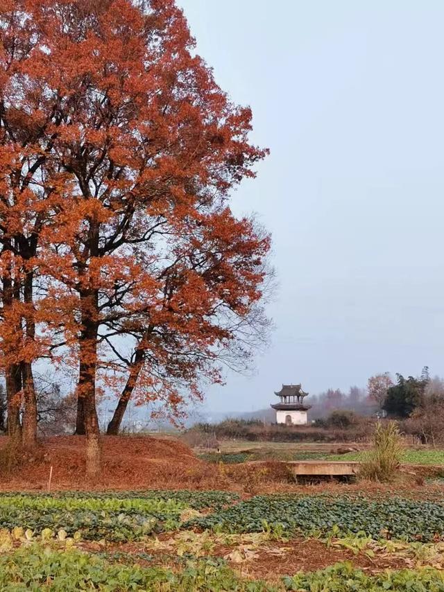 在徽州，寻一处安静的地方坐坐！