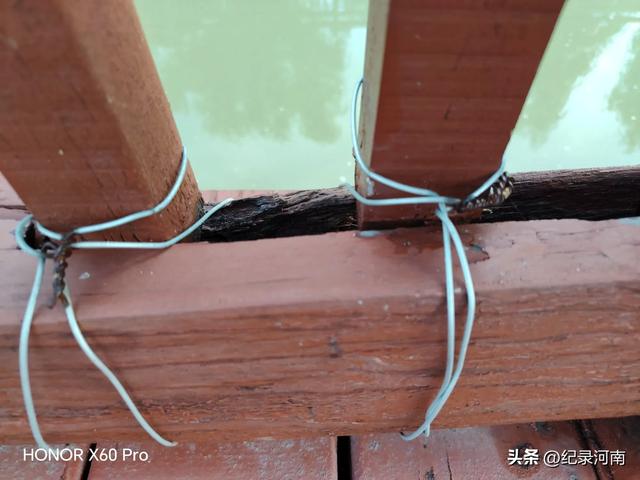 全国文明城市柘城县国家湿地公园榕湖斥巨资升级的人行栈道现状