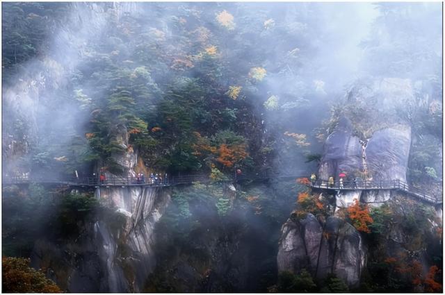 错峰出行此刻的九华山，既有夏末的酣畅，又有初秋的温柔