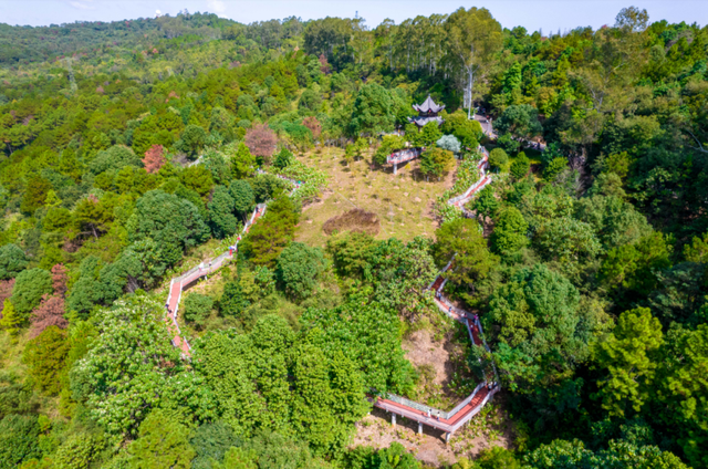 性价比拉满！韶关城区一日漫步计划，登山赏花逛吃全搞定