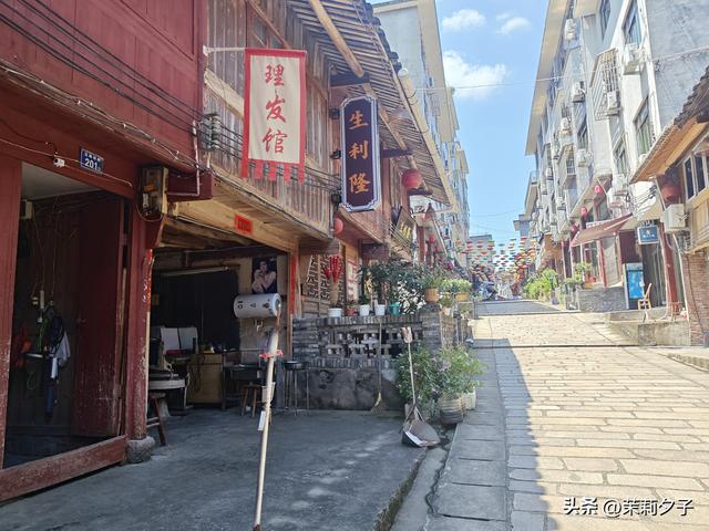 福鼎市区一日游：从白茶发源地到市井小吃赏唐风建筑品山海韵味