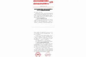 刚刚发布！武汉多子女家庭购房奖补政策图片
