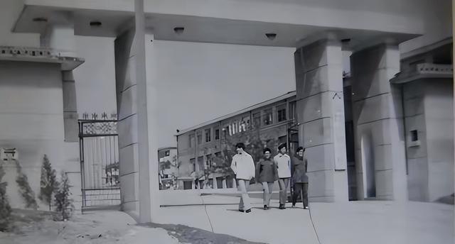 71 岁上海老太 “叛逆” 卖房自驾 9 年不归，不给亲人留一分钱引热议