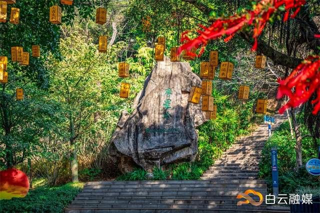 灯会、花展与民俗齐飞！今年过年，就到白云山风景名胜区