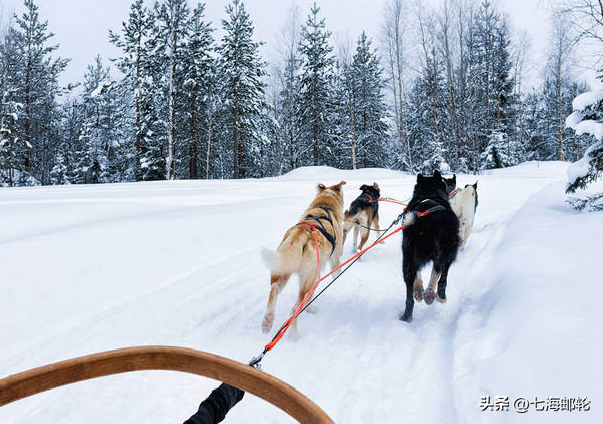 11日北欧追极光 穿越北极圈 圣诞老人村+破冰船+捕帝王蟹+极光邮轮