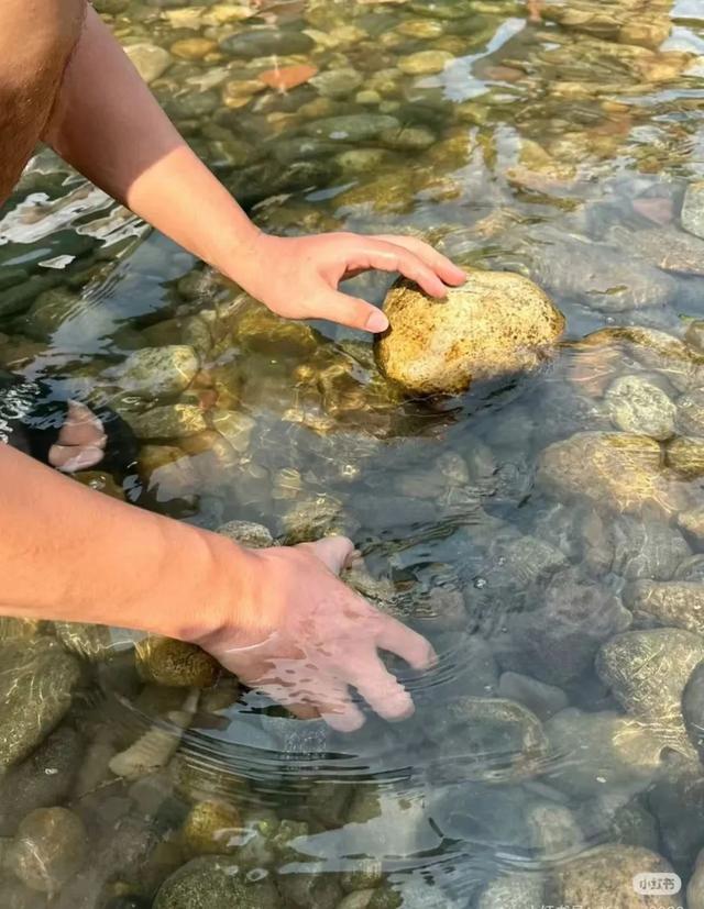 全免费！成都周边30min玩水抓螃蟹、露营野餐钓鱼烧烤！轻松安逸周末快冲！