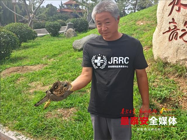 泰山景区开展“全国生态日”宣传活动 科普+放飞+雨季造林 以行动书写生态发展“奋进曲”