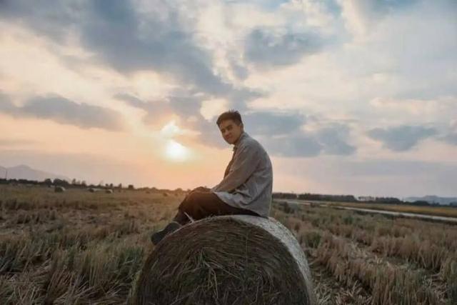 秋日的大杭州田间太“卷”了！胖乎乎的“瑞士卷”，一个一个又一个……