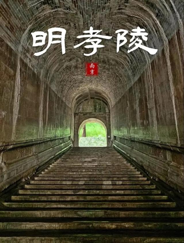 逛明孝陵走石象路，见六朝古砖载石兽还赏斑驳光影