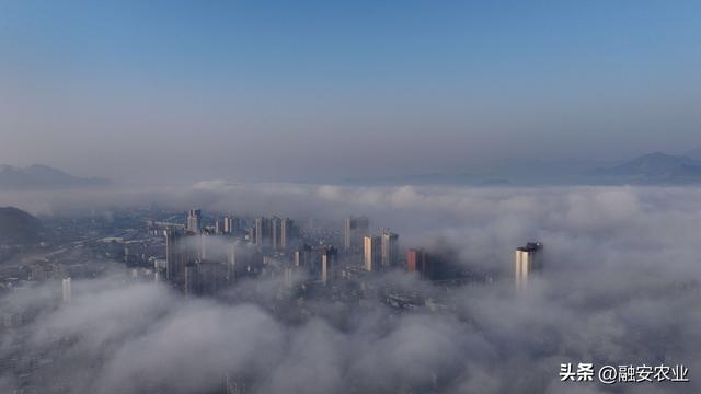 广西融安：云雾缭绕 美景如画