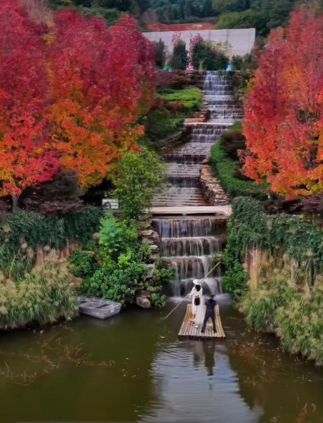 邂逅石林天外天红枫节“枫景线”