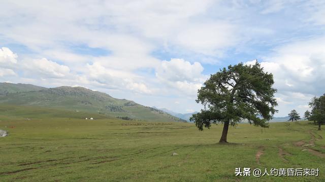 跑了一天阿禾公路，再次取消赛里木湖行程。