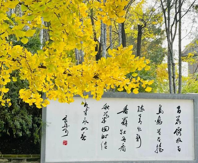 博物馆秋之旅丨赏景读史，秋光中与这四家纪念馆邂逅——