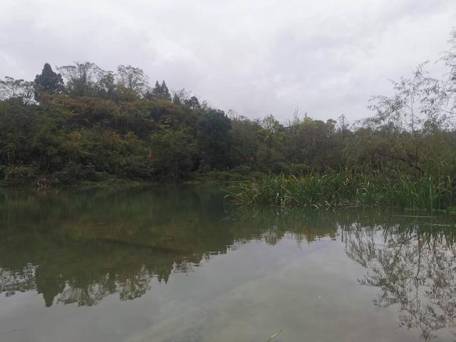 遵义新蒲：沙滩旧景有“花山”