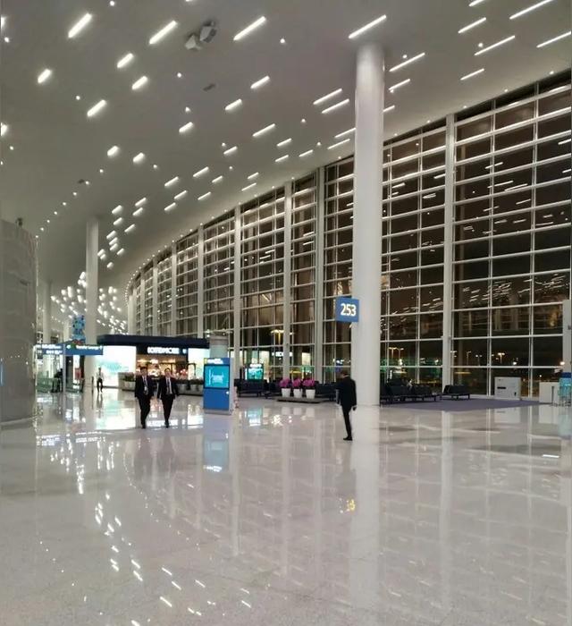 大川至首尔：海外一场跨越山海的逐梦之旅