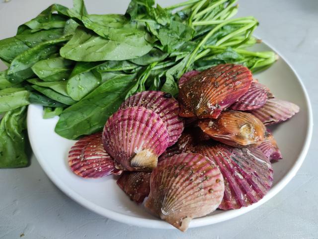 入冬后，扇贝大量上市，为啥便宜不好卖？内行：4个原因，很现实