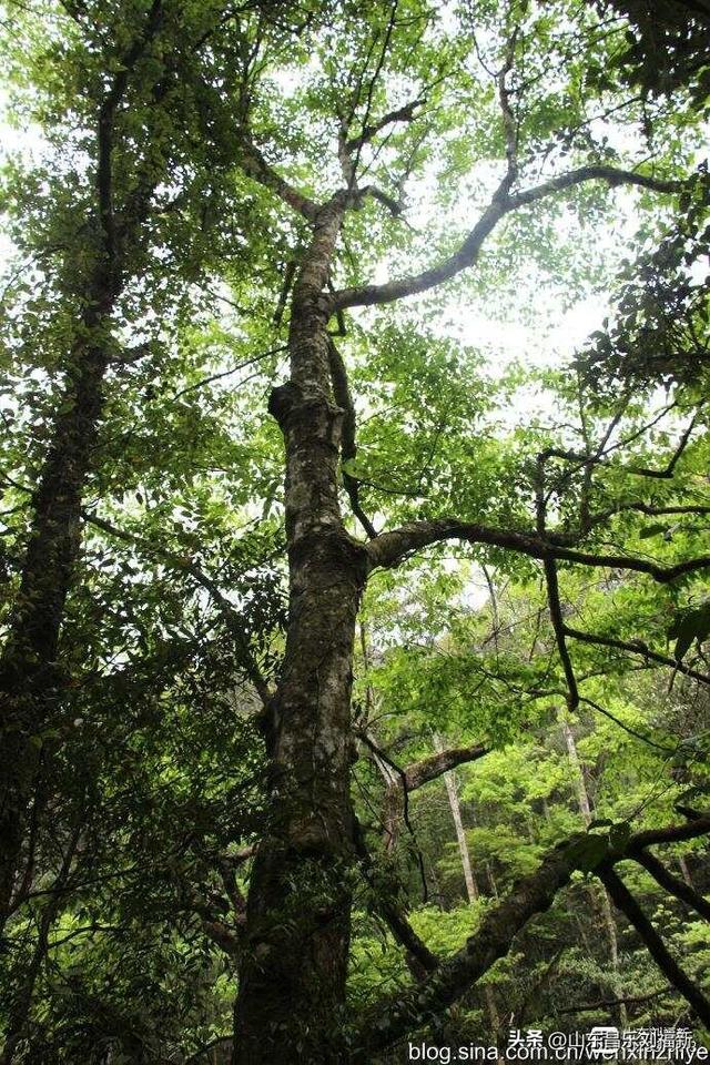 水口景区小记（江西之旅第八十八篇）