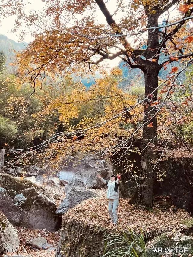 秋高气爽徒步季！温州这处有“小九华山”之称的奇秀山峰等你走起