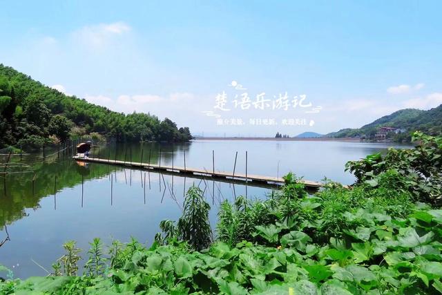 浙江宁波这里藏了一个小阿勒泰？湖光山色相映，柿林红时更美丽