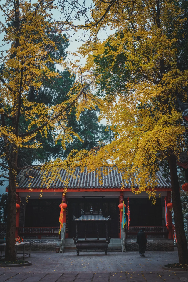 老君山，美美相约！