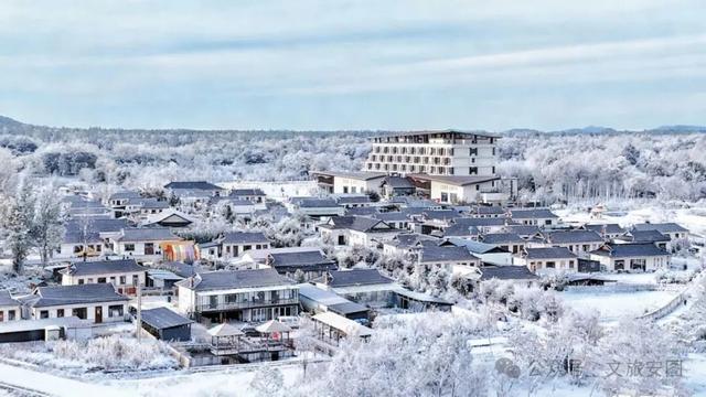 时逢大雪，安图约你围炉赏雪