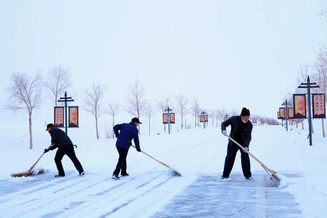 雪落阳关 温情守护