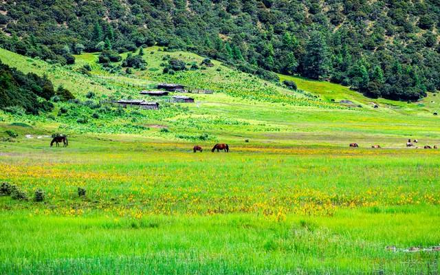 中国必去的10大旅游胜地，去过5个让人羡慕，全去过的是人生赢家