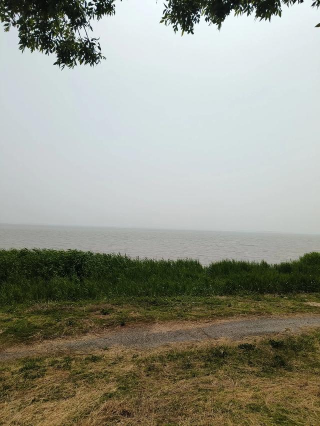 天津《团泊湖》