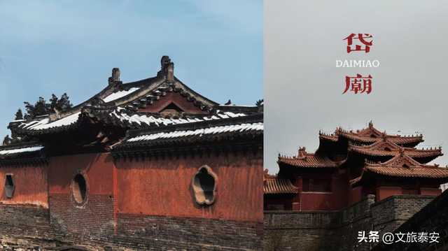 洛阳宝宝冲！四条线路解锁“一山一圣”的新玩法，朋友圈从洛阳卷到山东！