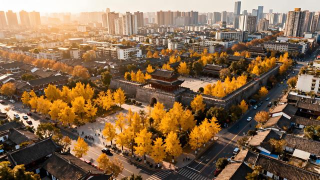 金杏摇风碎玉影，丹桂浮香染云章 —— 漫步蓉城清秋长卷